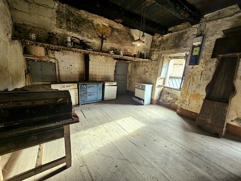 photo no. 4