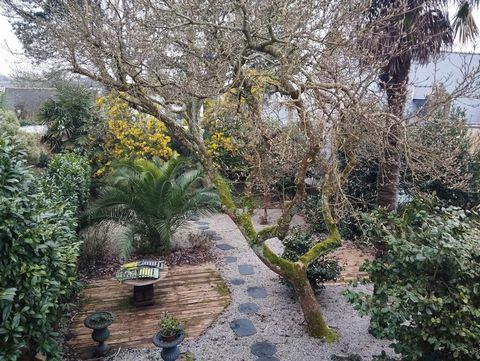 photo no. 13