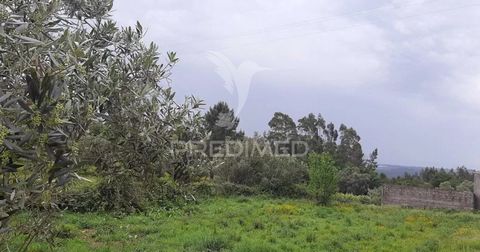 Terreno com contentor, a 10 minutos de Albergaria-a-Velha e 20 minutos de Aveiro e Águeda Predimed PORTUGAL Mediação Imobiliária Lda.Avenida Brasil 43, 12º Andar, 1700-062 LisboaLicença AMI nº 22503Pessoa Coletiva nº 517 239 345Seguro Responsabilidad...