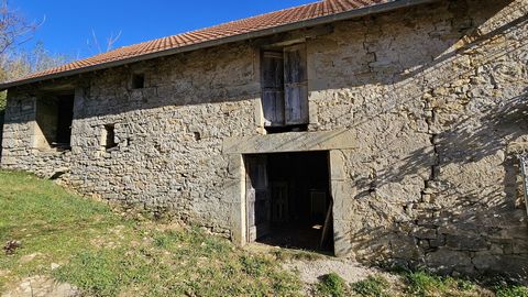 photo no. 6