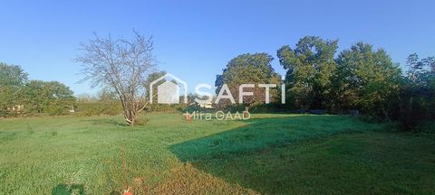 photo no. 2