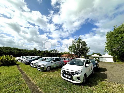 Société rentable de location de véhicules touristiques – Trois-Îlets