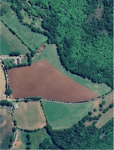 Vaste terrain agricole de 4,3 ha à saisir !