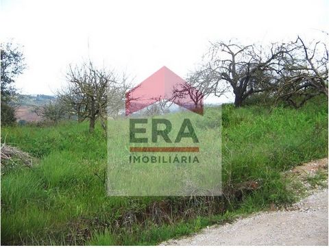 5.600 sq.M Plot of land in Areirinha - Óbidos. Well located. Excellent view over the countryside. *The information provided is for information purposes only, not binding, and does not exempt inquiring the mediator. Energy Rating: Exempt #ref:15008023...