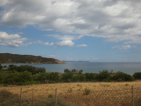 Kouremenos - Sitia: Plot of 5.500m2 with olive trees just 200meters from the sea. The price includes a building license for 200m2. There is good access to the plot and it enjoys mountain and sea views. Lastly, the electricity and water are nearby.