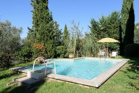 Halfway up a hill, under the watchful eye of the beautiful town of Cortona, lies the ancient and noble Villa, surrounded by olive groves and an old rustic park. Here, among centuries-old tranquility, you can relax and enjoy stately cypress and pine t...