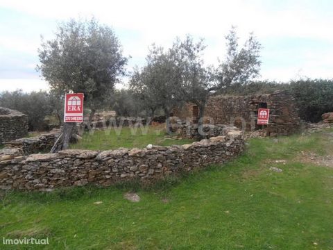 Land with stone construction, with some olive trees, good to cultivate. A few miles from Castelo Branco. Excluded from the SCE, under Article 4 of Decree-Law No. 118/2013 of 20 August.