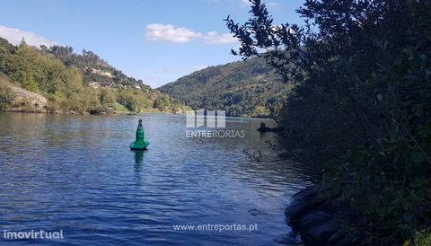 Land for Sale with about 100 m of front Douro River. It has good access and great sun exposure. Come visit! Swordfish, Cinfães. Ref.: MC09021 FEATURES: Land Area: 19 400 m2 Area: 19 400 m2 Useful Area: 19 400 m2 Energy Efficiency: Exempt ENTREPORTAS ...