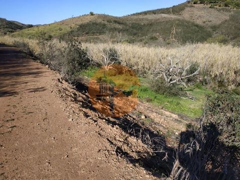 Rustikales Land von 4760 m2 befindet sich in Fonte Xica - Frequesia do Azinhal in Castro Marim, Algarve. Das Land hat einen guten Zugang. Land mit großer Sonneneinstrahlung und mit Bäumen. Es hat einen steilen Hang. Eine 20-minütige Fahrt von den bes...