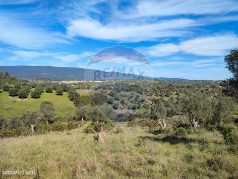 Rustic land with 29.360 m2 with a magnificent landscape. With well and passage of a stream. I invite you to know See you soon!   The good opportunities live here - if you want to sell, rent or buy apartment, villa or other contact us. The mission of ...