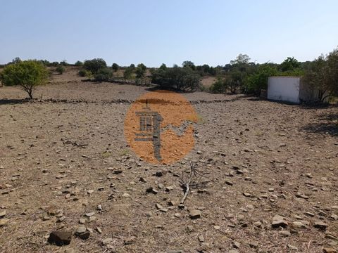 Land with 440 m2 next to the village of Casa Branca in Balurcos, Alcoutim. Asphalt access. Flat land. Calm location. Good access. Infrastructure in place, sanitation, water, electricity and public lighting. Just 10 minutes from the village of Alcouti...