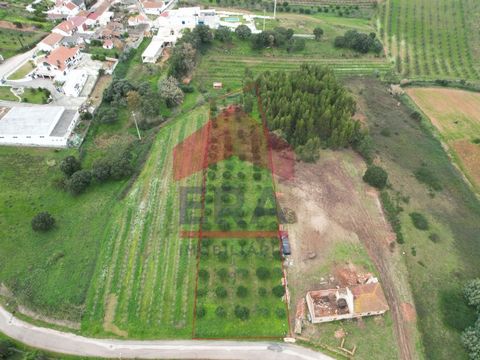 Building land located in Bombarral. With 24 meters in front and 400sq.M in areas of expansion of urban agglomerations. 10 minutes from the town of Bombarral and access to the A8 and the town of Óbidos and about twenty-five minutes from the beaches of...