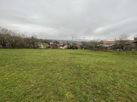 You are looking for a peaceful place to settle your family. This magnificent plot of land is for you, 3520 m2 of which 1700 m2 buildable on the front, 10 min from LURE. If you are looking for nature and peace close to the city, it is there. The soil ...