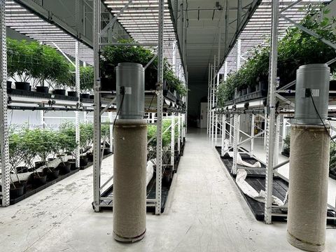 A rare opportunity to purchase an established indoor hemp facility in Homestead, FL specializing in growing a unique strain of high-quality indoor hemp for a wide variety of products to be used in oils, creams, smokable products, food consumption, et...