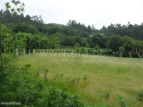 Land with 1.008m2; agricultural agriculture; Walled; It came; Excellent sun exposure