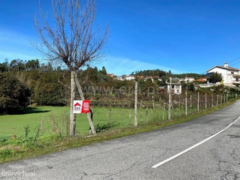 Land in Revelhe Agricultural and construction land with a total area of 12,425 m2 with a porch to support the agricultural area. This land has a part inserted in the construction area which may allow the construction of an individual house or two sem...