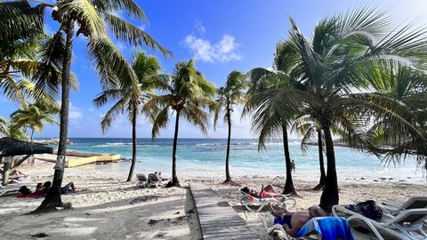 Investissez dans ce studio idéalement situé au coeur d'une résidence touristique dans la station balnéaire de Saint-François. A deux pas d'un joli lagon de sable blanc, la résidence est composée de batiments de style créole nichés dans un jardin trop...