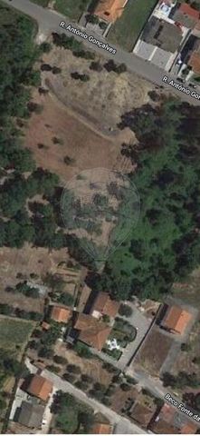 Description Land for sale at 76 492EUR Land Vila Nova Poiares of 2263m². This land is urban. With a privileged geographical location due to the fact that one of the fronts is very close to the mythical National 2, known as the longest road in Portuga...