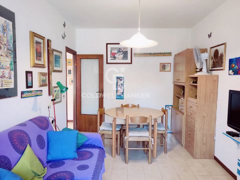 LAZIO - VITERBO - MONTALTO MARINA INDEPENDENT APARTMENT WITH TERRACE Have you always dreamed of having a house by the sea? Would you like to live near the beach but the nightlife doesn't drive you crazy? Would you prefer to spend your holidays in pea...