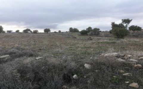 The property consists of a very large field of 58.529 sqm located in the Kyparissia area in Pachna Community, Limassol District. The asset is located circa 1.5km southwest from Pachna Village and 4km southeast from Dora Village. The asset has a rathe...