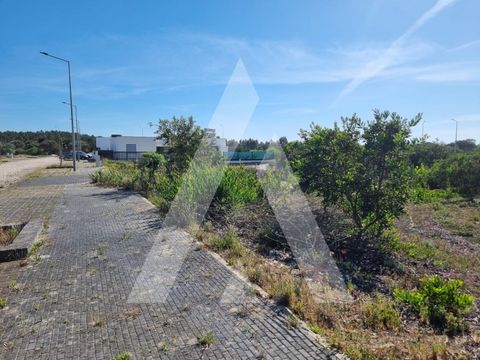 Plot of land to build the house of your dreams on one of the beautiful beaches of Portugal. This plot of land, located on Pedra do Ouro Beach, is perfect for those looking for a quiet and relaxing life by the sea. With a privileged location, just 4 k...