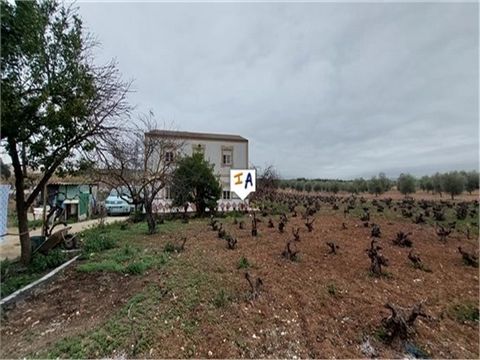 These 2 countryside homes with a total of 8 bedrooms and a vineyard are situated on the outskirts of the town of Monturque in the Cordoba province of Andalucia, Spain. Set back from the road, you approach the properties from a semi private drive that...