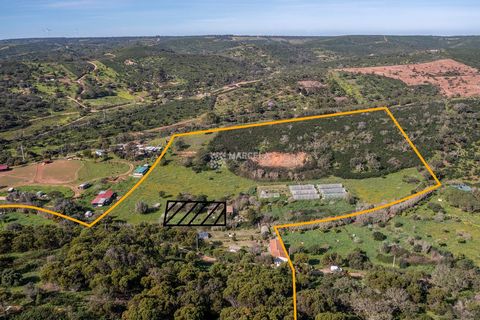 Located in Vila do Bispo. Located in very rural and peaceful location, aprox 3 km from the village comprising of 5 individual plots, all joining together, with a total land area of 64.000 sq.m. the land is divided by a public path. A large amount of ...
