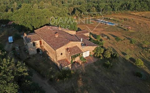 Civitella Paganico (GR), Surroundings: Organic farm agritourism with 68 hectares of land, farmhouse, and swimming pool divided as follows: 4 hectares of vineyard registered in the Montecucco DOCG, quality Sangiovese, planted in regular rows at 330 me...