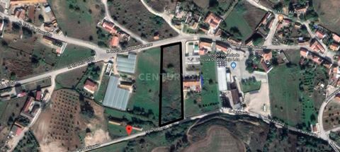 Land with 4,720m2 next to the village of Malaqueijo, Rio Maior. About half of the land is located in the urban perimeter of Malaqueijo where up to 5 2-storey villas can be built. The rest is rustic soil, and can be used for vegetable or gardening. It...