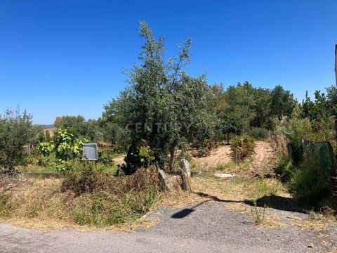 Rustic land in Ladoeiro, in an excellent location, with access on a tarmac road, electricity right at the entrance of the land, and with the tremendous added value of the existence of irrigation in it, which gives it total availability of water. Prop...