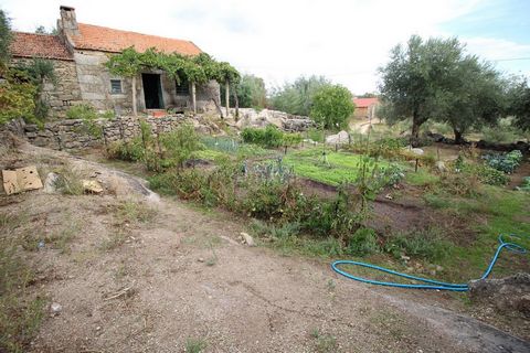 Mini Farm for Sale at a fair price, with about 700 m2, in an area characteristic of small farms and just 1000 meters from the village of Belmonte. It has sanitation, water and electricity distributed by the Belmonte network, an area of fertile land f...