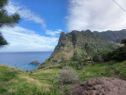 Building land with a total area of 3500 m2, located in São Cristóvão, privileged area of Boaventura on the north coast of Madeira Island. Has a clear and definitive view of the Atlantic Ocean and the Caminho da Entrosa that communicates with the Arco...