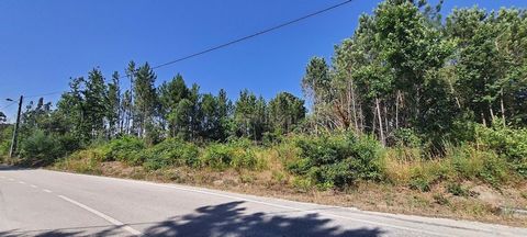 Land with feasibility for construction with an area of 3900.00m². It has a tarmac front and infrastructures, great sun exposure and location.
