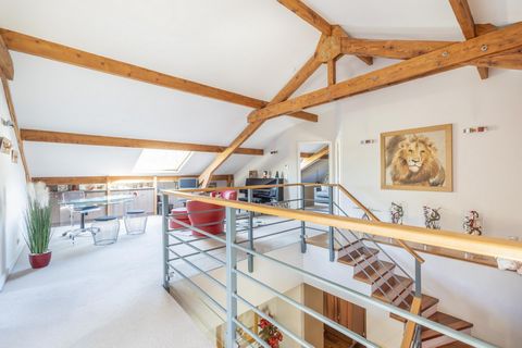 LUXURY apartment - Perfectly located on the edge of the forest with panoramic views, in Viroflay on the right bank (Rive droite train station less than 10 minutes walk), this splendid DUPLEX of 300m² on the ground (237 m2 Carrez law) offers an except...