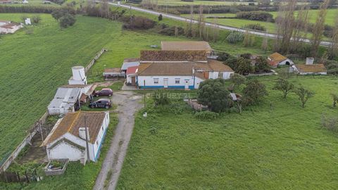 For Sale - Small farm with 2 T2 and T1 houses on Estrada do Penteado Moita Come live in Moita. Land with 17.395m2 Come and discover this small farm with two independent houses on a plot of 8,677m2. Main Property: House consisting of 2 bedrooms, sunro...