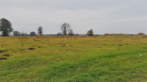 Agricultural plot in Samoupady col. First. A small agricultural plot located in a picturesque area. Key features: - meadows, fields and a river are in the vicinity Physical features of the plot: - area: 1330 m2 (13.3 are) - dimensions: 5 m wide x 260...