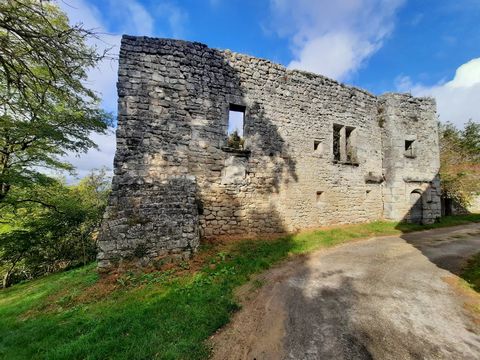 EXCLUSIVE TO BEAUX VILLAGES! Incredible opportunity to become the owner of a magnificent 13th century castle in need of a complete renovation. This building, listed as a Historic Monument, has retained its authenticity which makes it so charming toda...