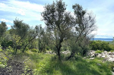 The island of Krk, town Krk, wider area, agricultural land surface area 3,071 m2 for sale, olive grove and forest with sea view. South orientation, possibility of water connection, access road. Quiet location.