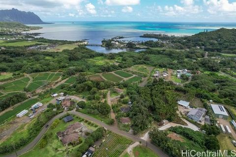 Discover an exceptional opportunity to own over 3 acres of lush green surroundings enveloping a tropical garden paradise. This property boasts four units, each occupied by long-term tenants, ensuring a stable monthly income exceeding $14,000. Between...