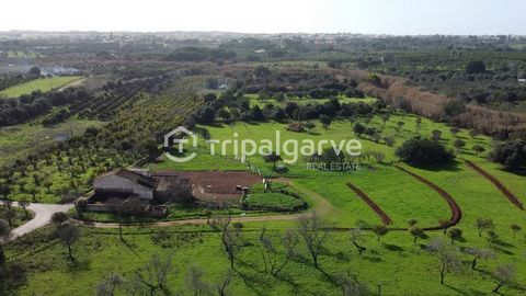 Excellent terrain rustique d'une superficie totale de 5,77 hectares, très bien situé et avec un accès facile et à courte distance de la route N125, dans la région de Boliqueime. Dans la parcelle de terrain, il y a 3 ruines avec des superficies de 200...