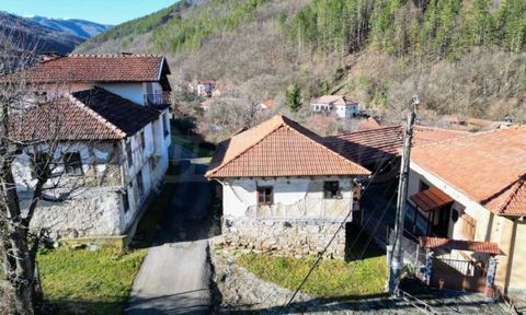 SUPRIMMO Agency: ... Wij presenteren u een woning gelegen op een van de meest geprefereerde plaatsen voor vakanties in Bulgarije in het dorp Chiflik. Het ligt op slechts 16 km van de stad Troyan en staat bekend om zijn geneeskrachtige mineraalwater e...