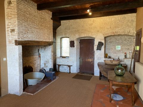 photo no. 5