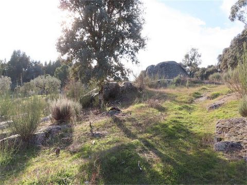 Entdecken Sie diesen charmanten kleinen Bio-Bauernhof mit einer Gesamtfläche von 3.600 m², perfekt für alle, die Ruhe und Kontakt mit der Natur suchen. Tolle Lage nach Osten und Süden, die den ganzen Tag über von herrlicher Sonneneinstrahlung profiti...