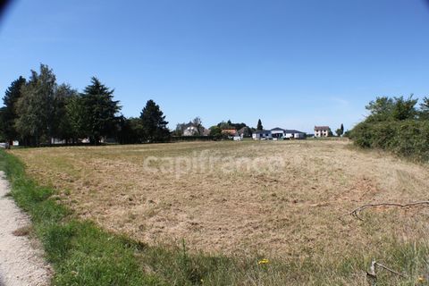 photo no. 2