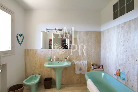photo no. 13