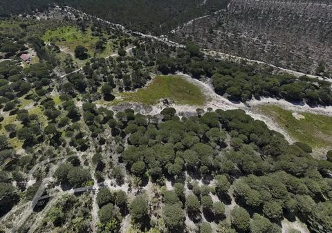 Magnificent plot | 2ha - 5.4acres | Architectural project | Privacy | Nature | Pinheiro do Cravo | Melides | Comporta Large plot of 2ha with architectural project located in the beautiful and unspoiled surroundings of Pinheiro da Cravo between Melide...