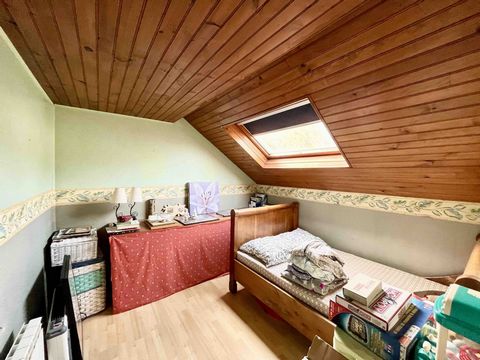 photo no. 12