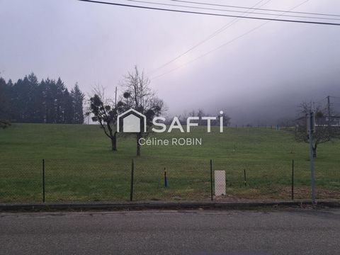 photo no. 1