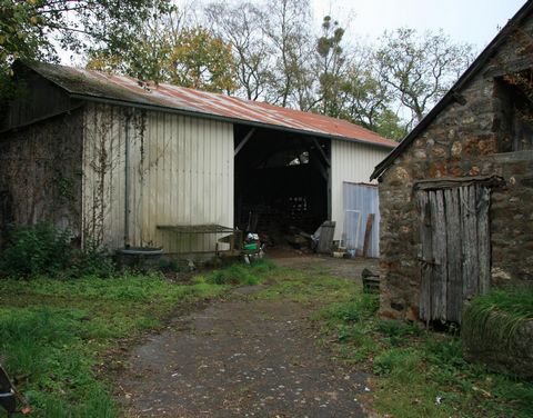 photo no. 2