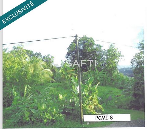 photo no. 1